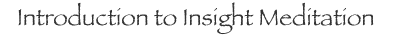 Introduction to Insight Meditation, a Script for Leaders