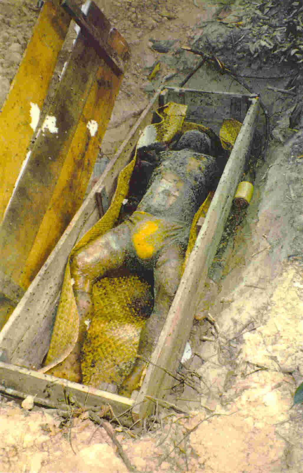 Cemetery Contemplation Stage 3