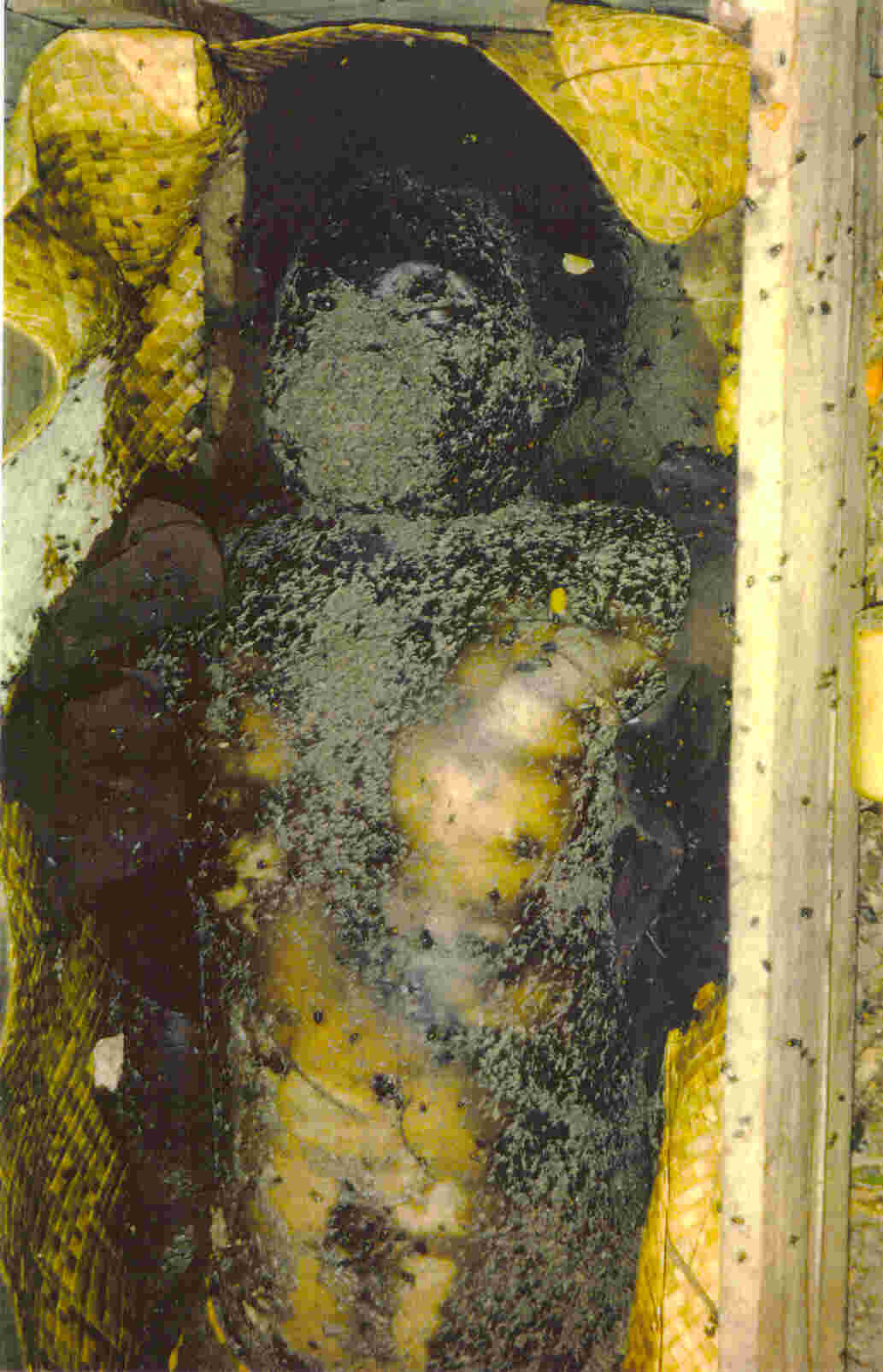 Cemetery Contemplation Stage 4