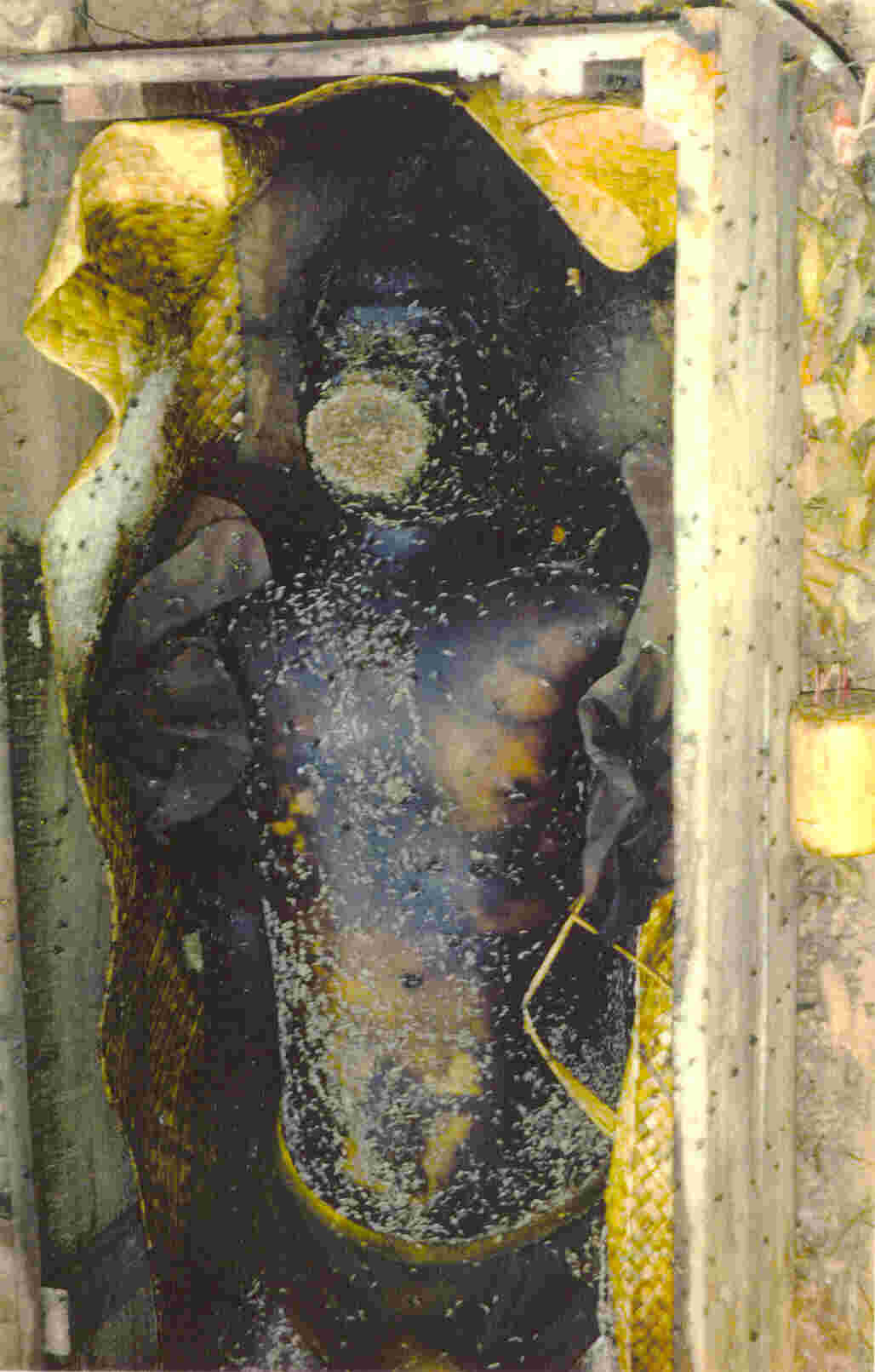 Cemetery Contemplation Stage 5