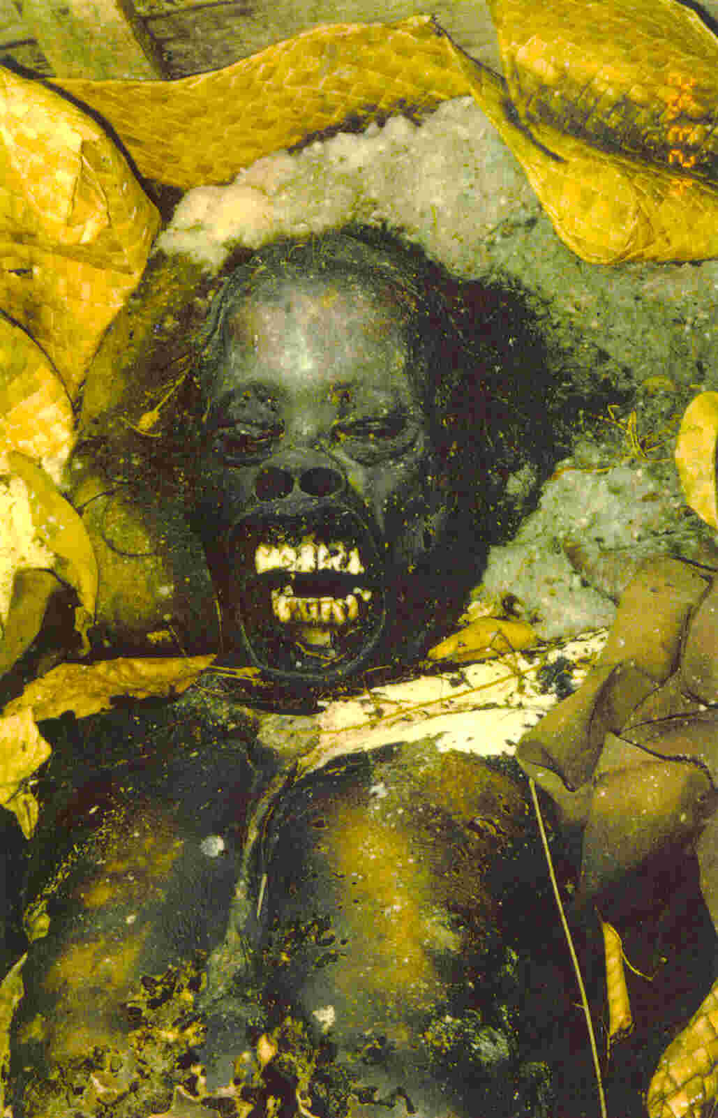 Cemetery Contemplations Stage 9