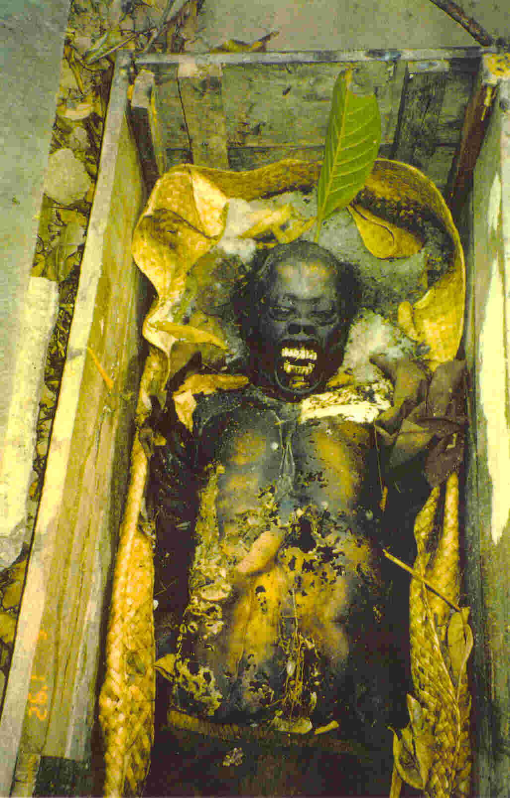 Cemetery Contemplations Stage 11