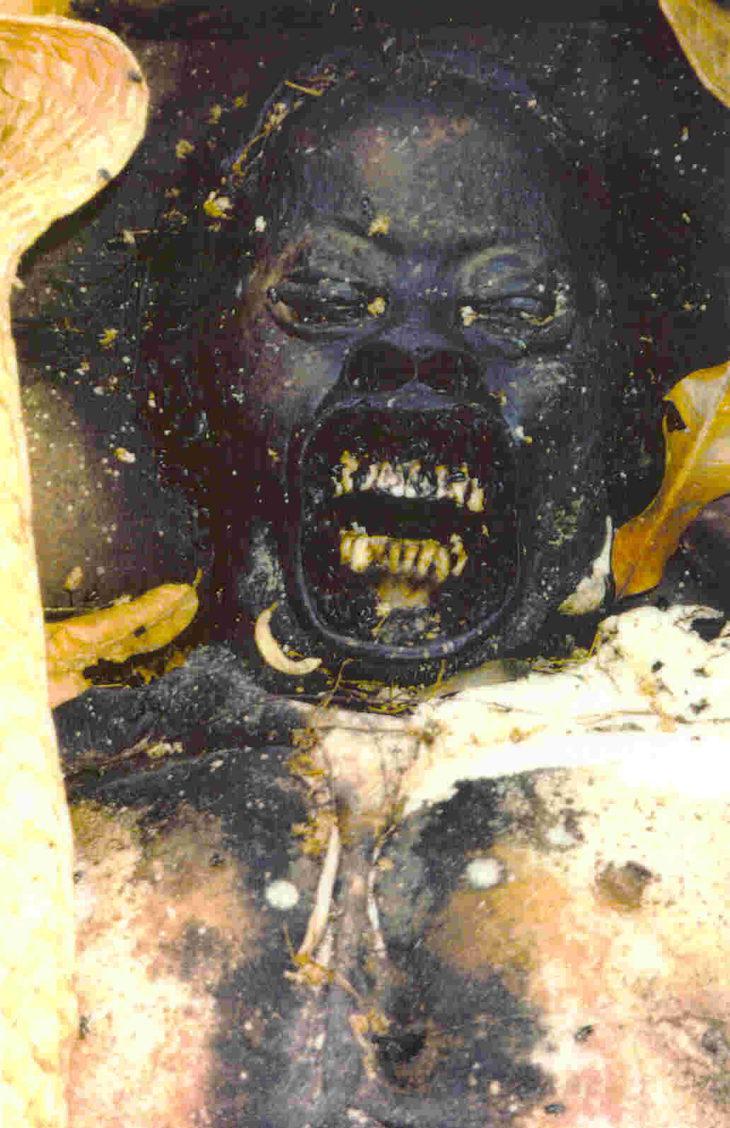 Cemetery Contemplations Stage 12