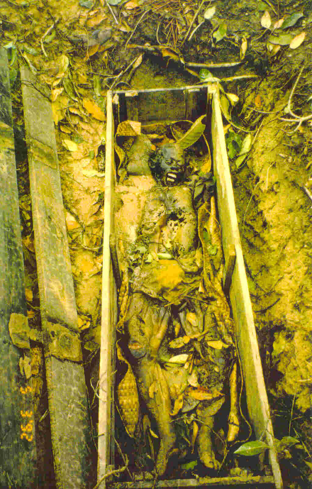 Cemetery Contemplations Stage 13