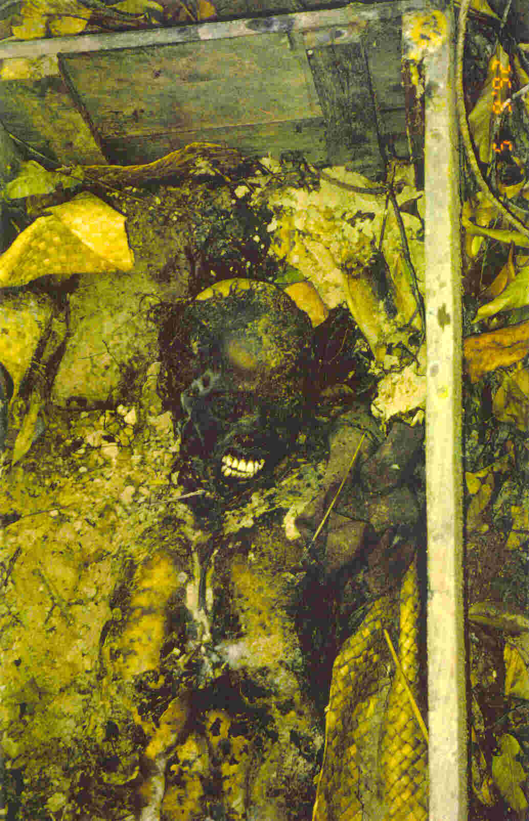 Cemetery Contemplations Stage 14